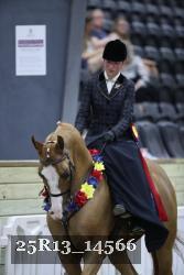 25R13_14566 thumbnail