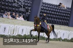 25R13_14567 thumbnail