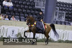25R13_14570 thumbnail