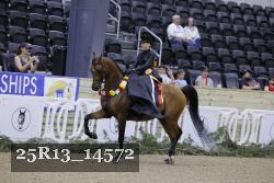 25R13_14572 thumbnail
