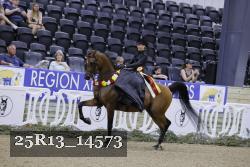 25R13_14573 thumbnail