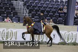 25R13_14575 thumbnail