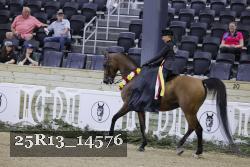 25R13_14576 thumbnail