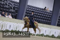 25R13_14577 thumbnail