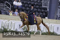 25R13_14579 thumbnail