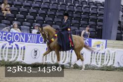 25R13_14580 thumbnail