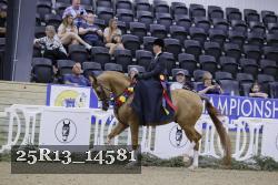 25R13_14581 thumbnail