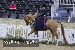 25R13_14582 thumbnail