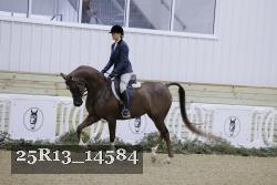 25R13_14584 thumbnail