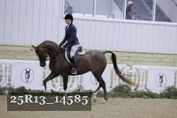 25R13_14585 thumbnail