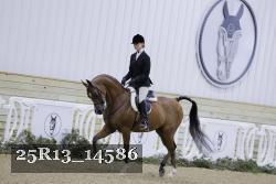 25R13_14586 thumbnail