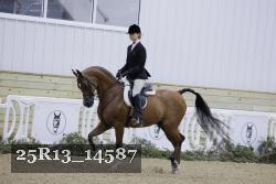 25R13_14587 thumbnail