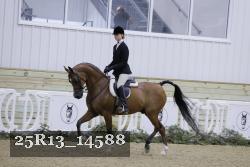25R13_14588 thumbnail