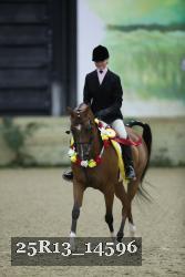 25R13_14596 thumbnail