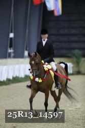 25R13_14597 thumbnail