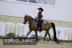 25R13_14627 thumbnail