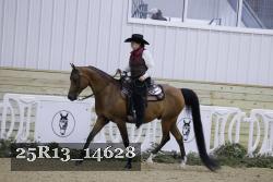 25R13_14628 thumbnail