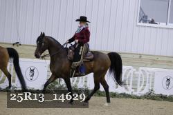 25R13_14629 thumbnail