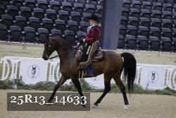 25R13_14633 thumbnail
