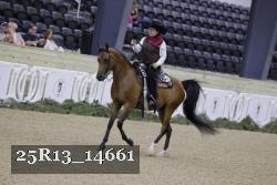 25R13_14661 thumbnail