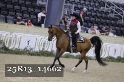 25R13_14662 thumbnail