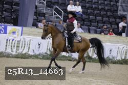 25R13_14663 thumbnail