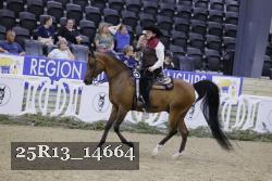 25R13_14664 thumbnail
