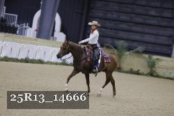 25R13_14666 thumbnail