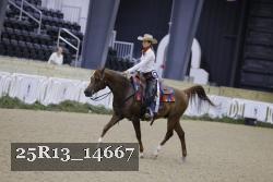 25R13_14667 thumbnail