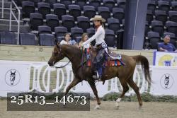 25R13_14673 thumbnail