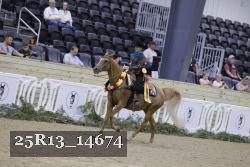 25R13_14674 thumbnail