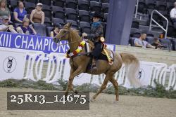 25R13_14675 thumbnail