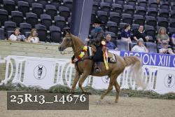 25R13_14676 thumbnail