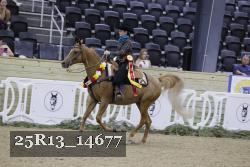 25R13_14677 thumbnail