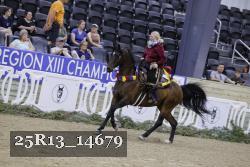 25R13_14679 thumbnail