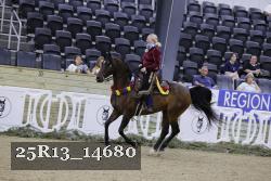 25R13_14680 thumbnail
