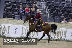 25R13_14681 thumbnail
