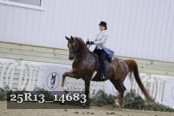 25R13_14683 thumbnail