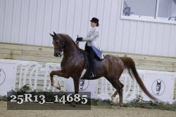 25R13_14685 thumbnail