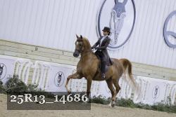 25R13_14686 thumbnail