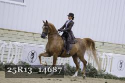 25R13_14687 thumbnail