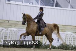 25R13_14688 thumbnail
