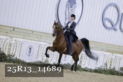25R13_14689 thumbnail