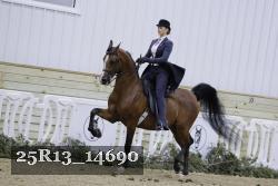25R13_14690 thumbnail