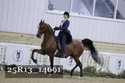 25R13_14691 thumbnail