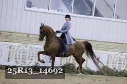 25R13_14692 thumbnail