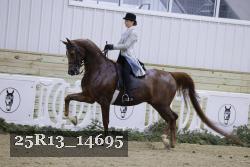25R13_14695 thumbnail