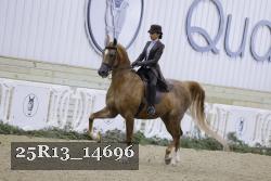 25R13_14696 thumbnail