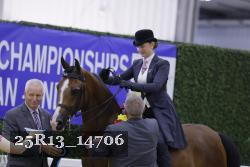 25R13_14706 thumbnail