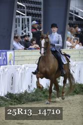 25R13_14710 thumbnail